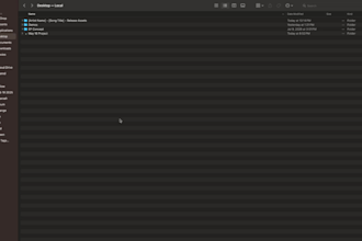 manage your music distribution, metadata, and release scheduling