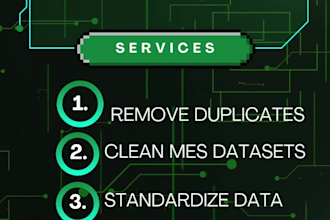 provide fast accurate data entry and typing service