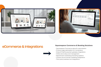 do responsive squarespace small business and online store website