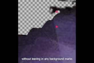 cut out complex images and remove the background fast