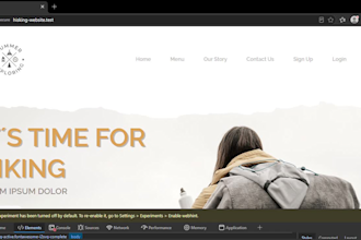 build responsive frontend website or fix HTML CSS bugs