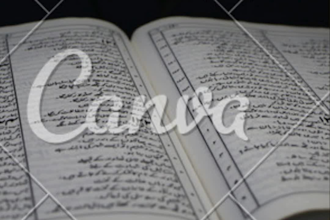 professionally proofread and edit urdu text