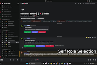 create you a perfect discord server for streamer