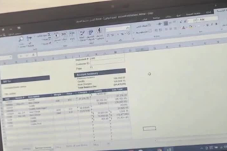 do financial reports, sales reports, data entry, translation
