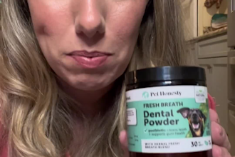 create engaging ugc videos for pet and dog brands