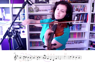 be your nerd violinist for your project