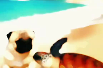 create short ai videos for tiktok reels and shorts