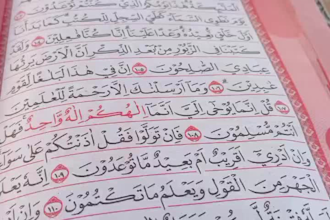 online quran tutor teach quran online with tajweed for kids and adult recitation