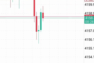 offer forex trading bot, forex bot, trading robot, ea bot, forex trading robot