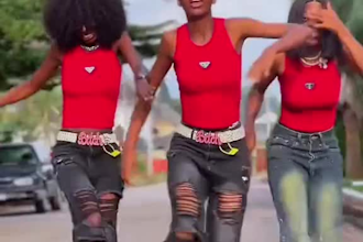 dance twerk dance, belly dance, afro dance or choreography tiktok dance moves