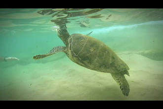 create a custom maui itinerary with real local tips