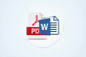 do ms word typing, formatting and pdf to word