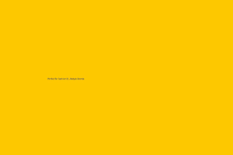 fix HTML CSS javascripts website issues