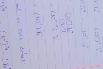 do professional handwriting and assignment writing work