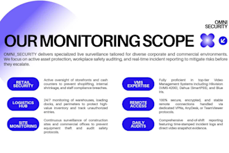 provide professional cctv monitoring and remote live surveillance