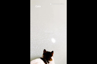 ai enhanced short video editing