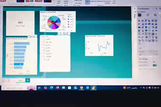 create professional dashboards and data visualization using power bi