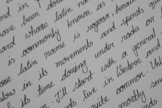 write anything with my beautiful handwriting
