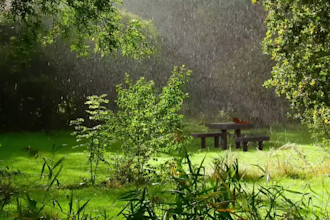 create procedural houdini environments for games, vfx and world building