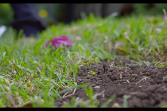 cinematic color grading for your videos