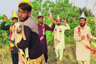 wish funny happy birthday video or funny happy birthday dance