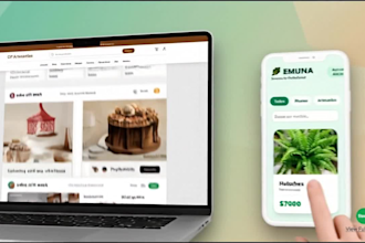 build custom web solutions using my mern expertise