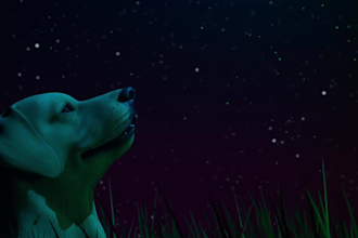 create custom 3d looping environment or scene in blender