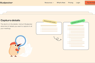 develop a professional webflow website, figma to webflow