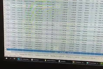 do professional excel data analysis, reports and dashboards