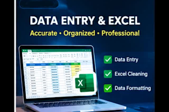 data entry, data cleaning, excel work