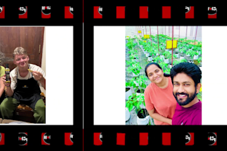 edit youtube videos, tiktok, reels and vlog videos professionally