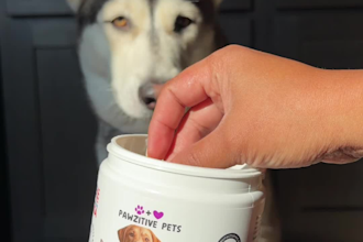 create pet videos for your products