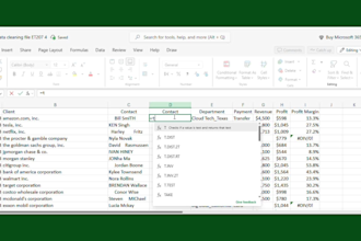 clean, organize and prepare your data in excel for analysis