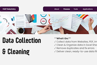 do professional data entry, PDF to excel, HTML and CSS work
