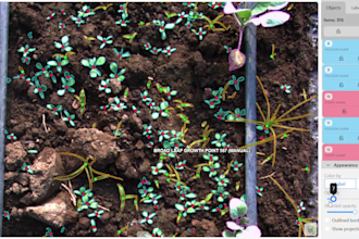 do image annotation and data labelling for CV and ai