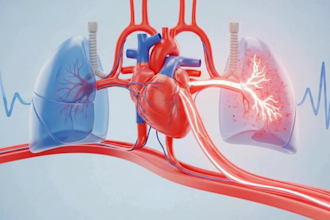 ai animation video, body anatomy, medical animation, surgery animation