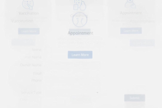 do pet care website development, pet management web app, responsive UI UX design