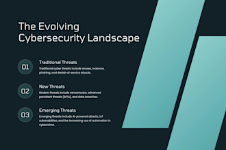 do professional web application penetration testing and vapt