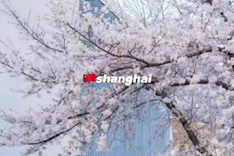 video commercials and commercial advretising