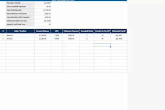 provide a detailed budget, debt snowball calculator, and net worth planner
