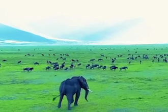 plan your tanzania safari and zanzibar itinerary