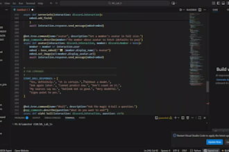 serve you as your custom discord bots developer