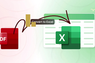 provide professional excel services