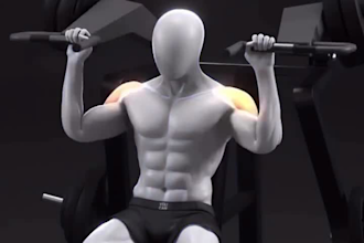 create 3d anatomy gym, exercise animation, 3d workout, body building and fitness