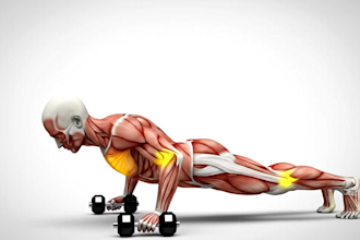 create 3d workout animation, anatomy of fitness,  3d bodybuilding animation