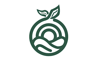 animate a professional logo and product motion graphics