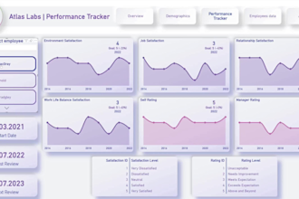 provide services in data viz, cleaning, and analysis