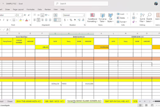 do reconciliation,bank reconciliation,vendor reconciliation,customer ledger