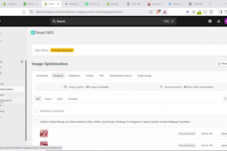 rank your shopify store on google with advanced SEO