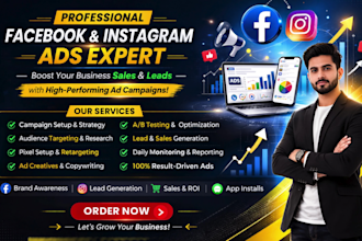 be facebook ads expert and instagram ads